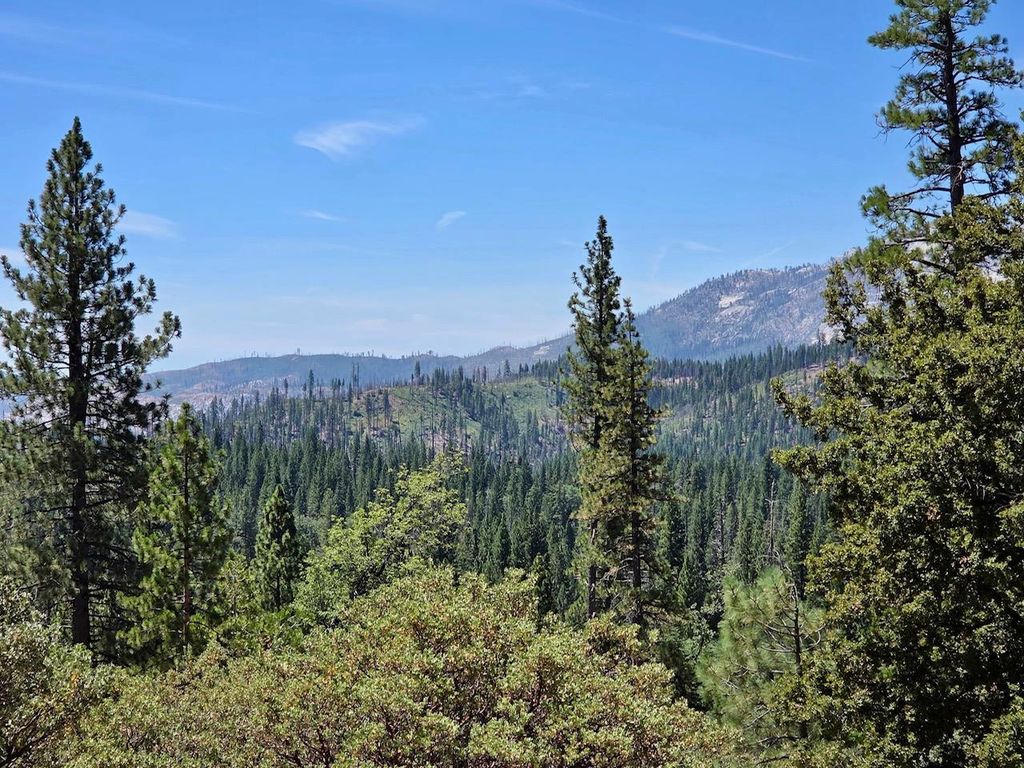 Image 22 of property listing at 167 Pine Cone Path, North Fork, CA 93643