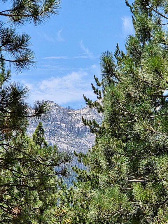 Image 23 of property listing at 167 Pine Cone Path, North Fork, CA 93643