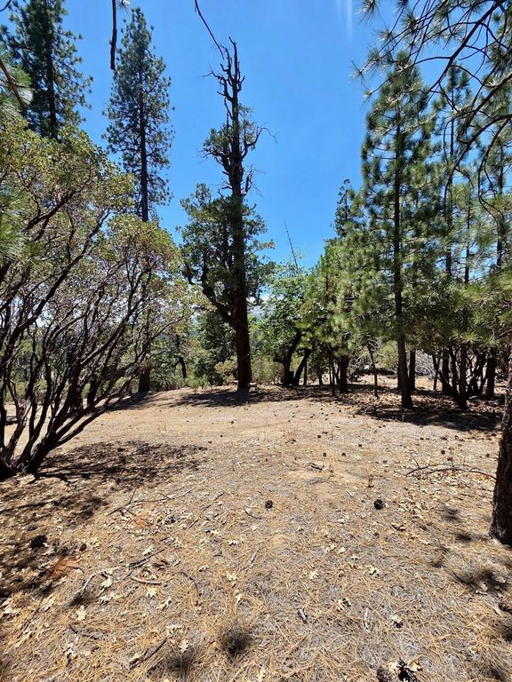 Image 24 of property listing at 167 Pine Cone Path, North Fork, CA 93643
