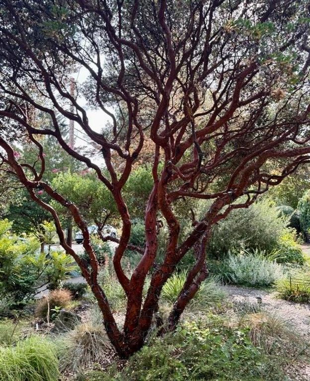 Image 27 of property listing at 167 Pine Cone Path, North Fork, CA 93643