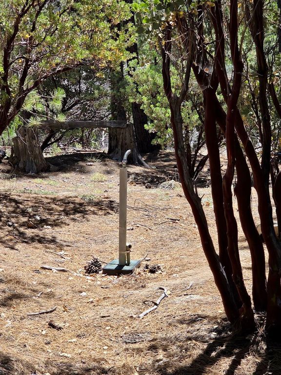 Image 28 of property listing at 167 Pine Cone Path, North Fork, CA 93643