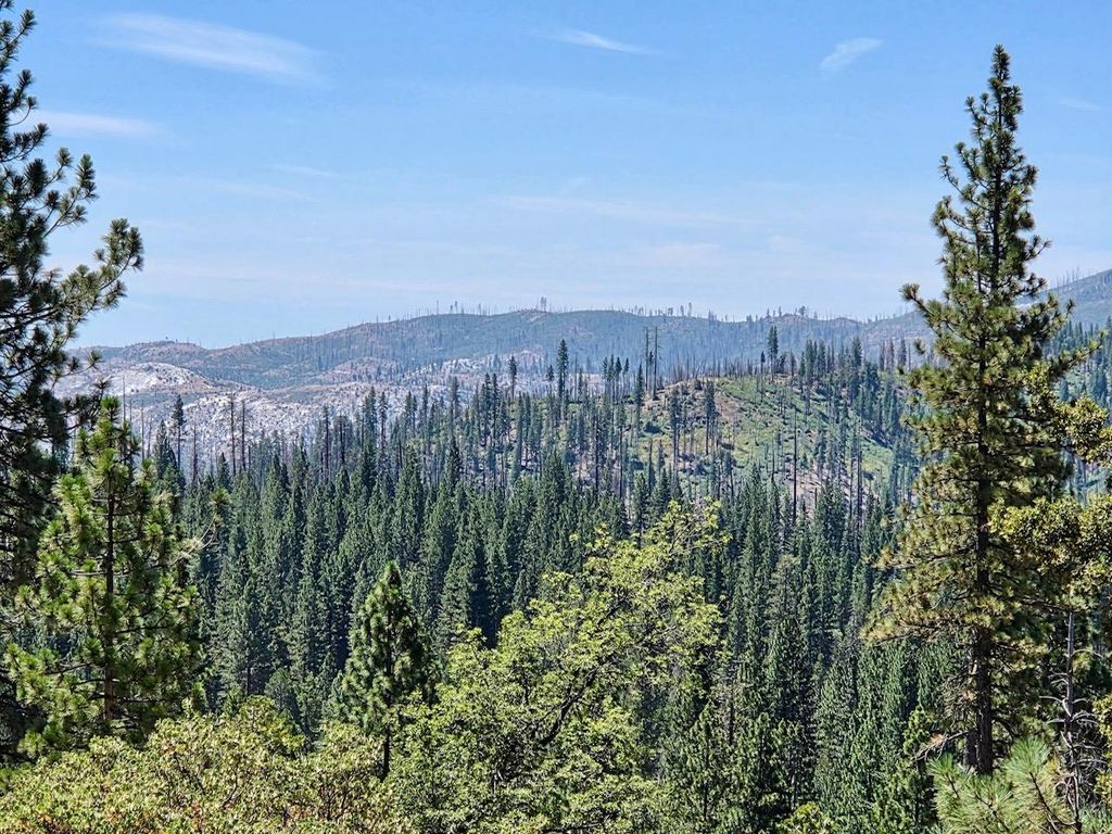 Image 3 of property listing at 167 Pine Cone Path, North Fork, CA 93643