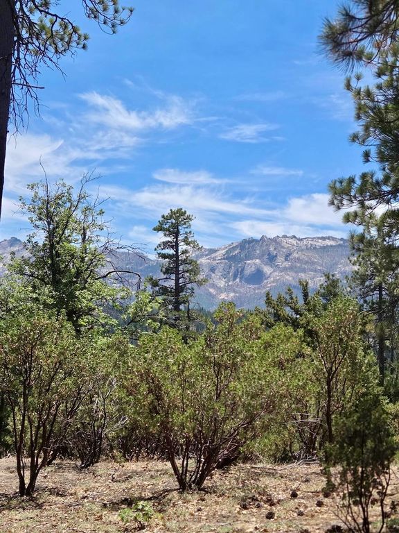 Image 31 of property listing at 167 Pine Cone Path, North Fork, CA 93643