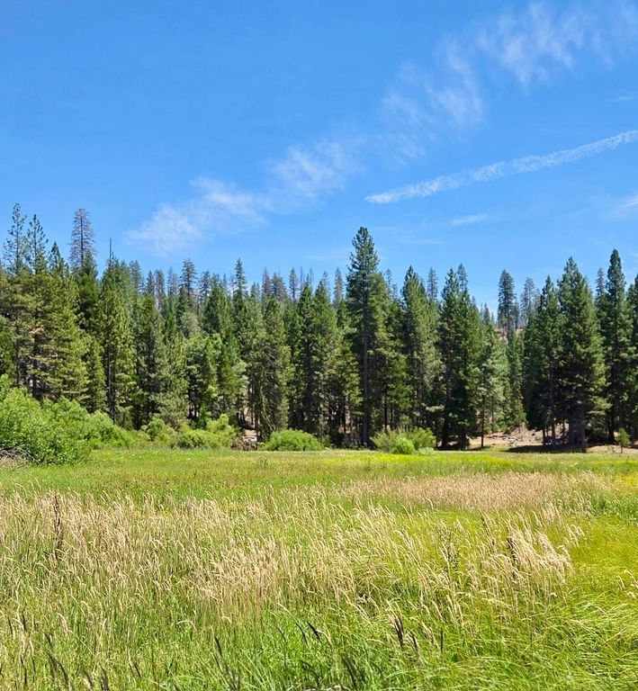 Image 37 of property listing at 167 Pine Cone Path, North Fork, CA 93643