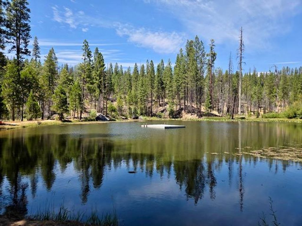 Image 44 of property listing at 167 Pine Cone Path, North Fork, CA 93643