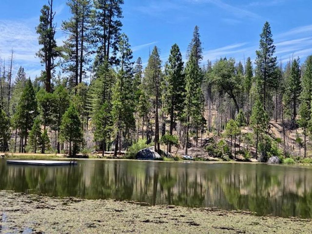 Image 46 of property listing at 167 Pine Cone Path, North Fork, CA 93643