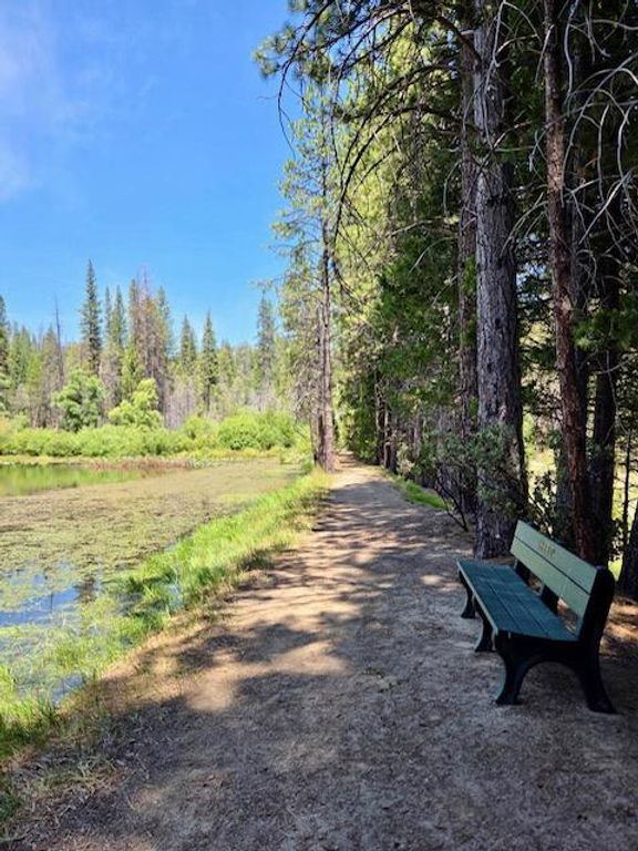 Image 47 of property listing at 167 Pine Cone Path, North Fork, CA 93643