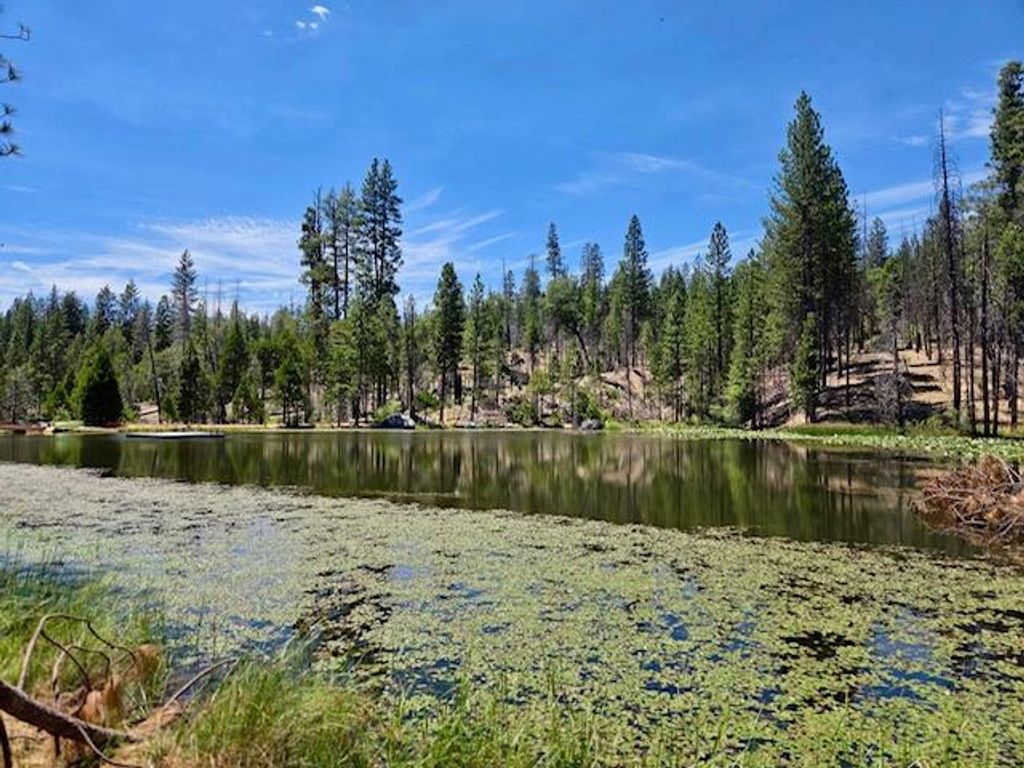 Image 48 of property listing at 167 Pine Cone Path, North Fork, CA 93643