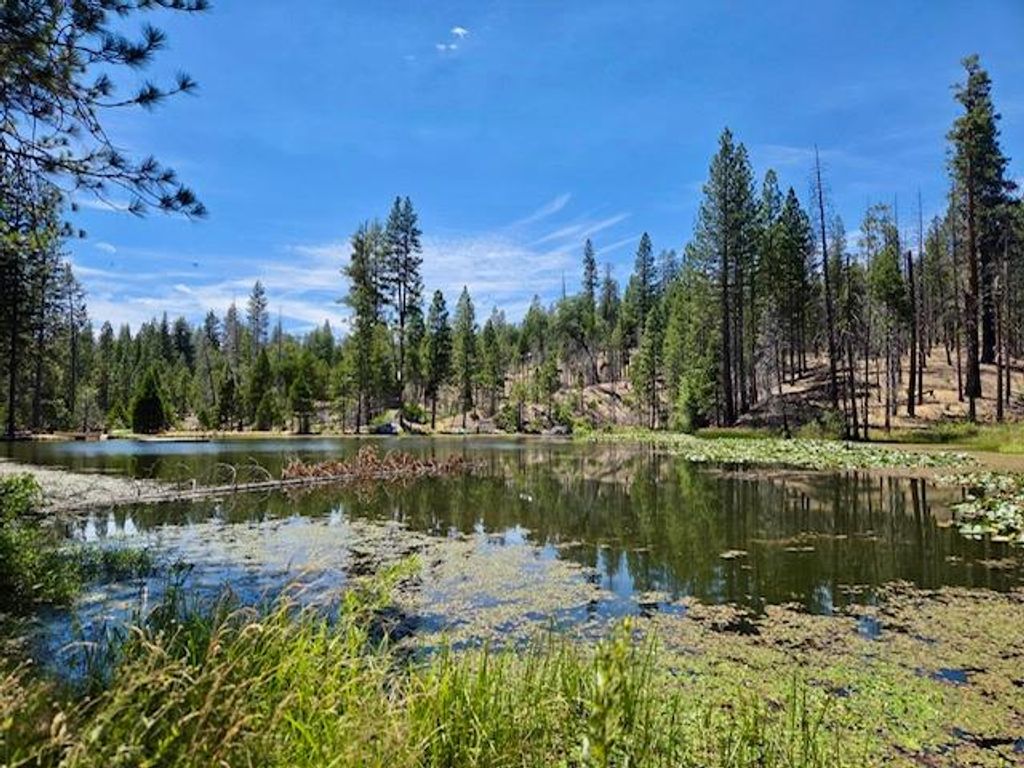Image 49 of property listing at 167 Pine Cone Path, North Fork, CA 93643