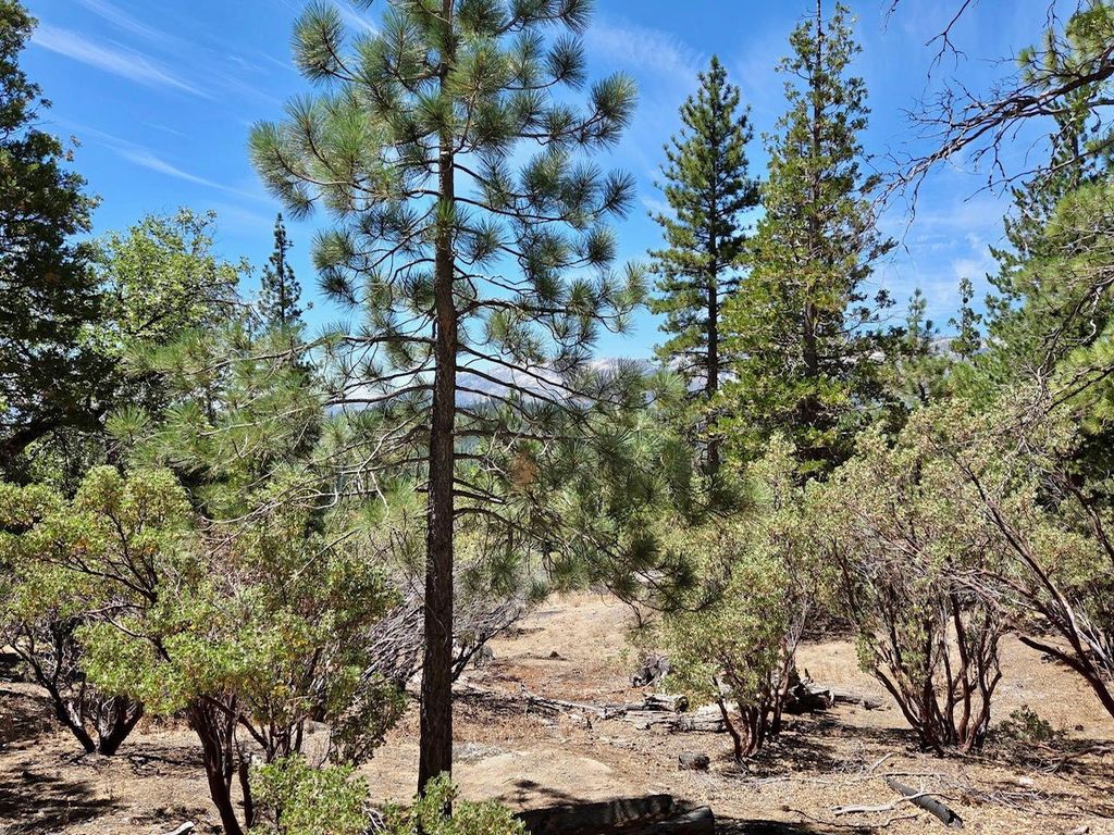 Image 5 of property listing at 167 Pine Cone Path, North Fork, CA 93643