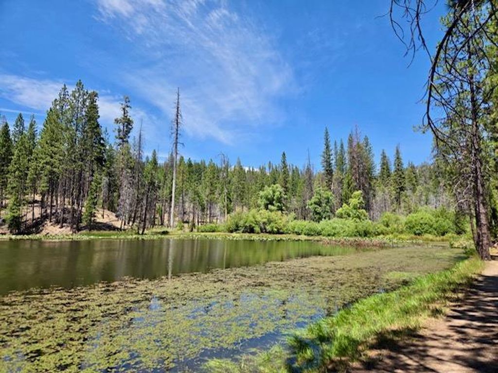 Image 50 of property listing at 167 Pine Cone Path, North Fork, CA 93643