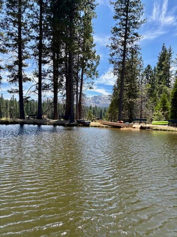 Image 51 of property listing at 167 Pine Cone Path, North Fork, CA 93643