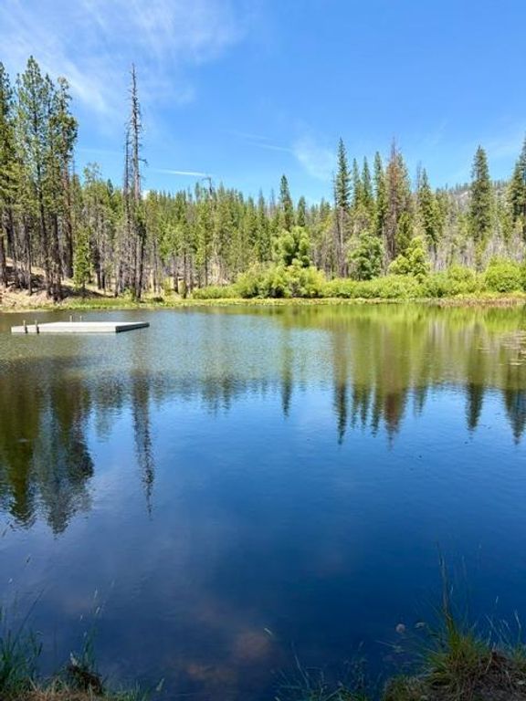 Image 52 of property listing at 167 Pine Cone Path, North Fork, CA 93643