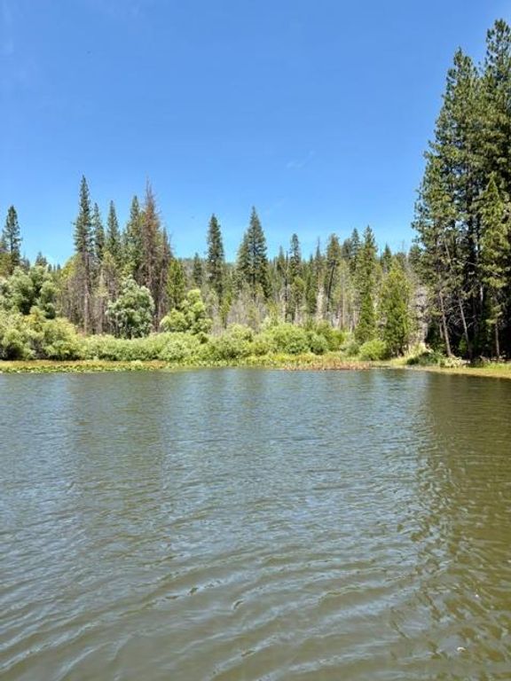 Image 53 of property listing at 167 Pine Cone Path, North Fork, CA 93643