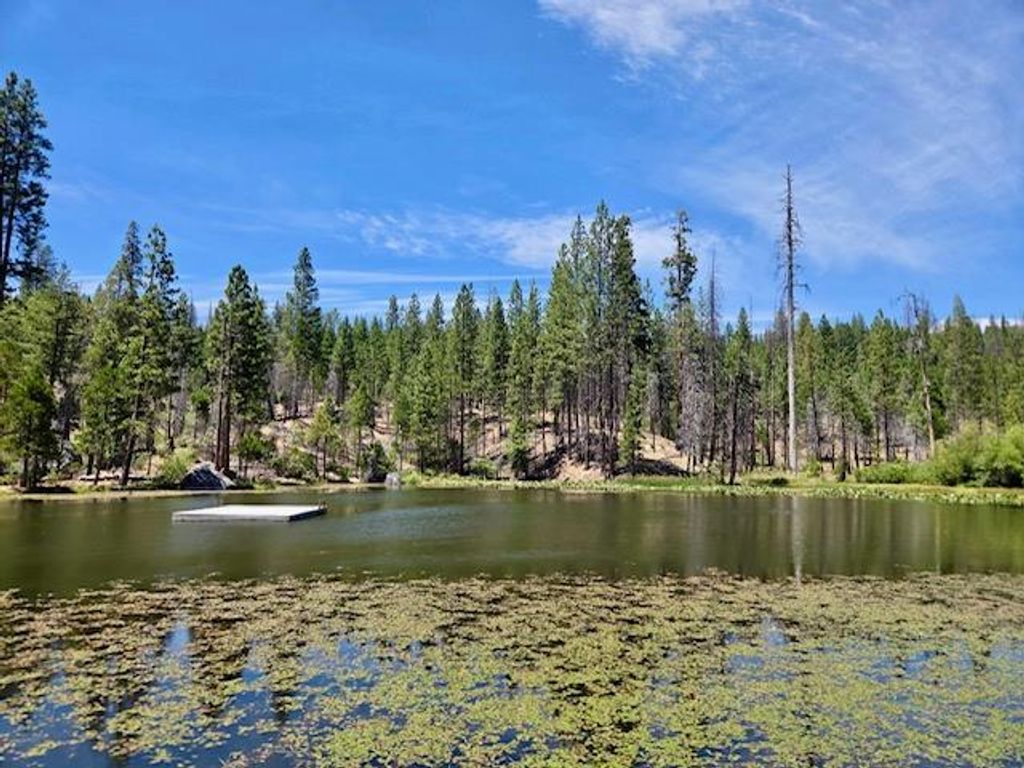 Image 54 of property listing at 167 Pine Cone Path, North Fork, CA 93643