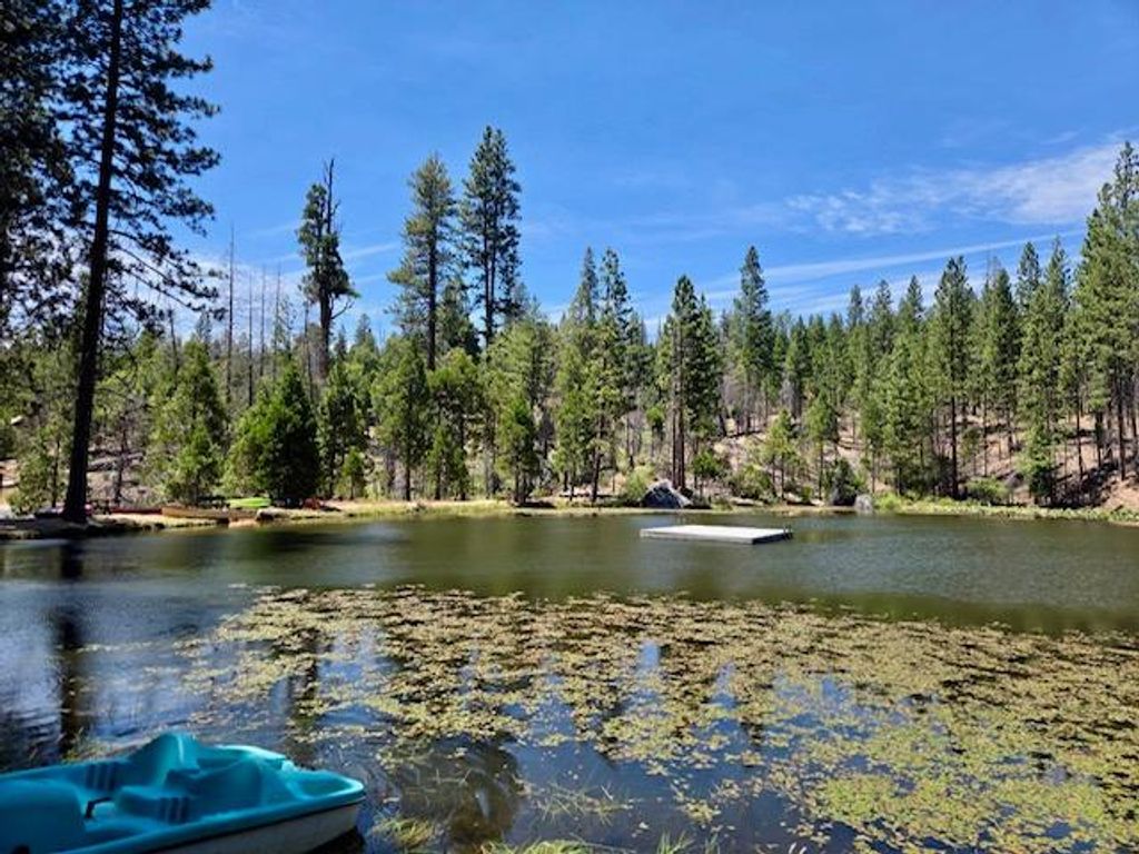Image 55 of property listing at 167 Pine Cone Path, North Fork, CA 93643