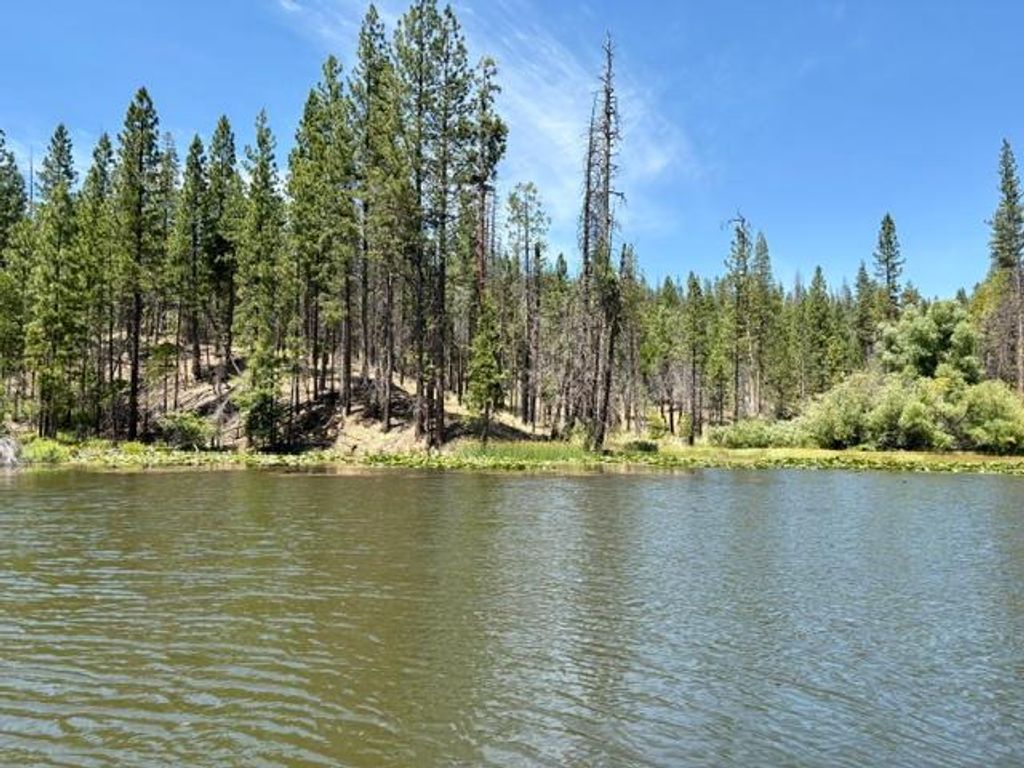 Image 56 of property listing at 167 Pine Cone Path, North Fork, CA 93643