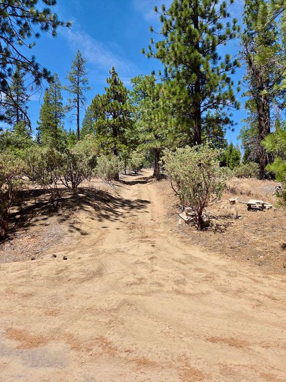 Image 62 of property listing at 167 Pine Cone Path, North Fork, CA 93643