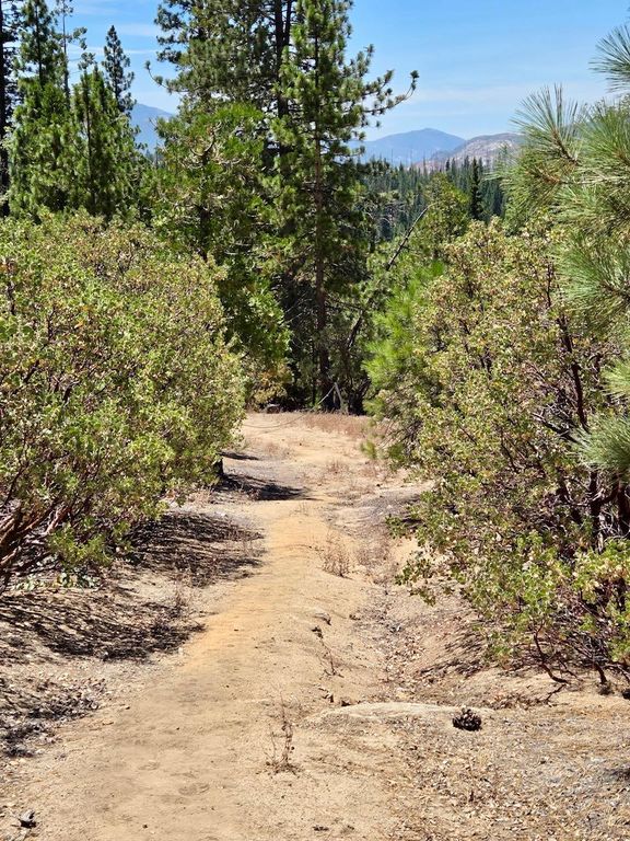 Image 63 of property listing at 167 Pine Cone Path, North Fork, CA 93643
