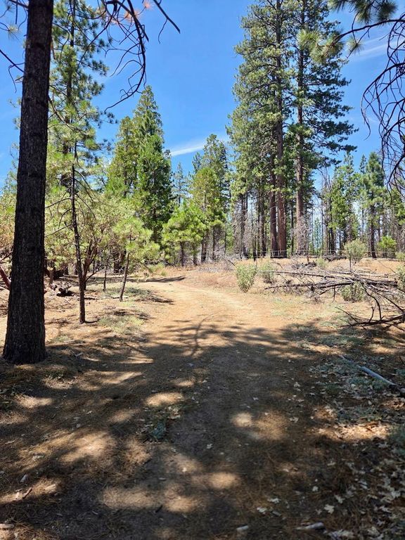 Image 64 of property listing at 167 Pine Cone Path, North Fork, CA 93643