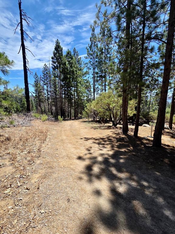 Image 65 of property listing at 167 Pine Cone Path, North Fork, CA 93643