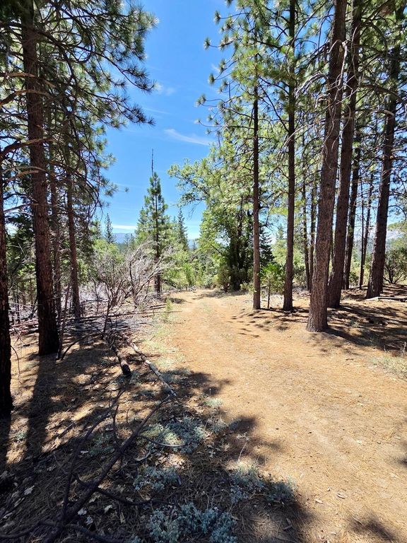 Image 66 of property listing at 167 Pine Cone Path, North Fork, CA 93643