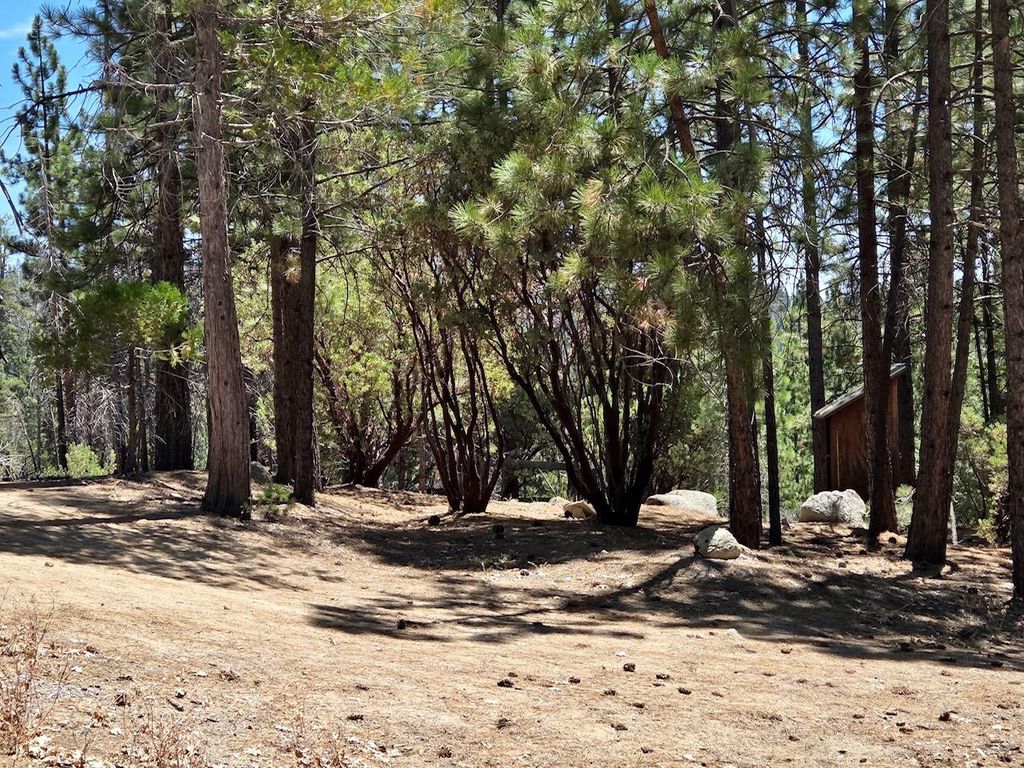 Image 7 of property listing at 167 Pine Cone Path, North Fork, CA 93643