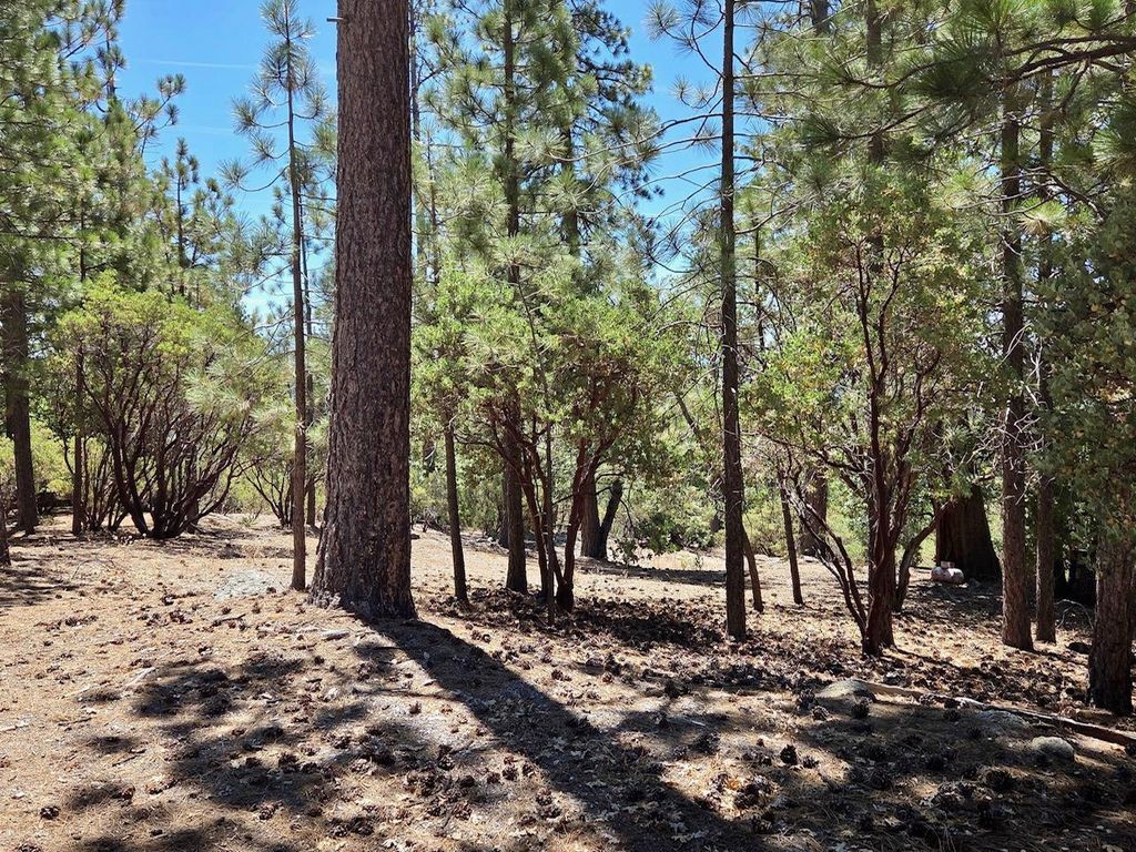 Image 8 of property listing at 167 Pine Cone Path, North Fork, CA 93643