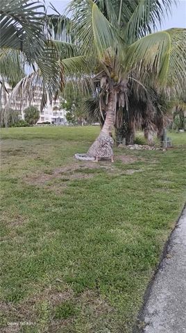1749 Bikini CT, Cape Coral, FL 33904