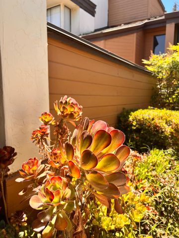 1417 W Swain Rd, Stockton, CA 95207