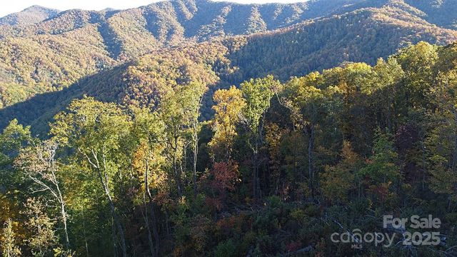 9999 Conleys Creek, Whittier, NC 28789