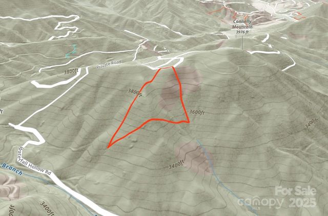 9999 Conleys Creek, Whittier, NC 28789