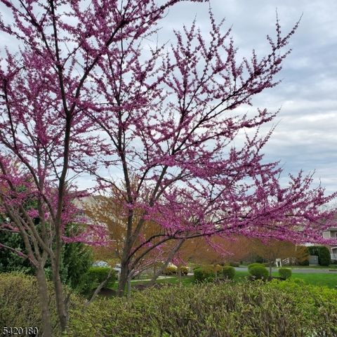 314 Biltmore Ln, Franklin Twp., NJ 08873