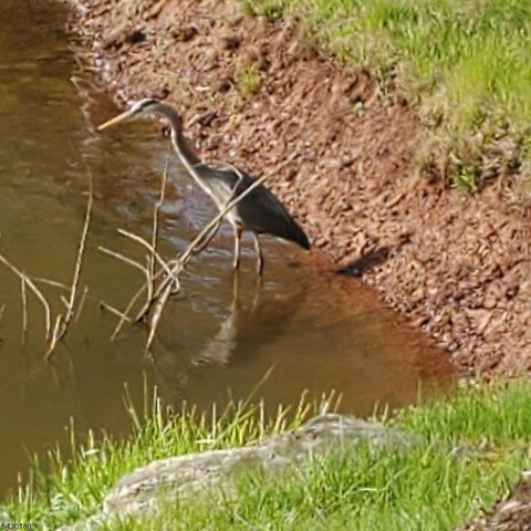 314 Biltmore Ln, Franklin Twp., NJ 08873