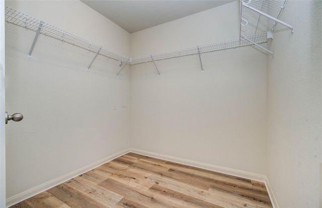 1315 Diamond Drape Drive, Rosharon, TX 77583