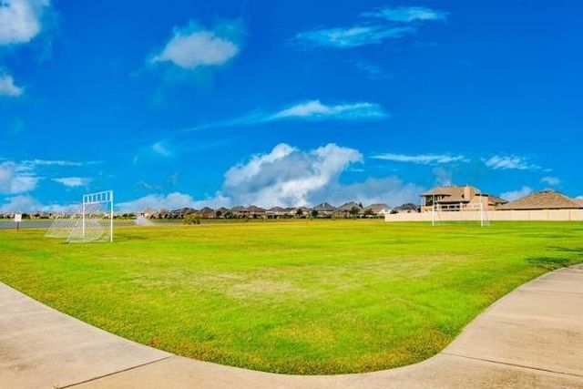 1315 Diamond Drape Drive, Rosharon, TX 77583