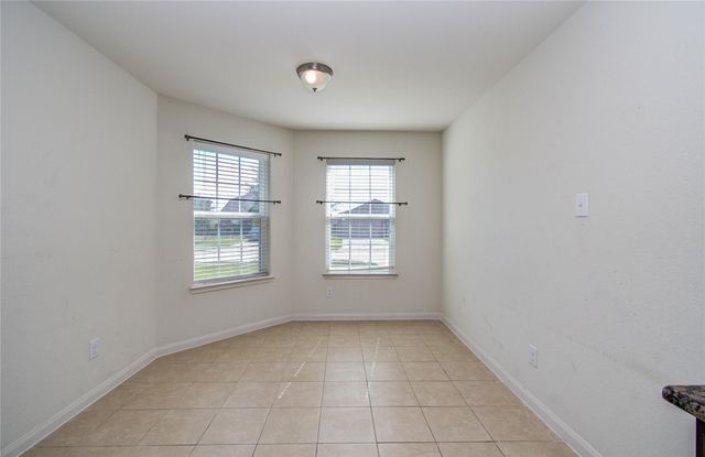 1315 Diamond Drape Drive, Rosharon, TX 77583