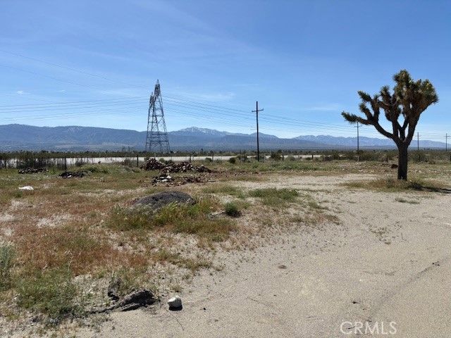 1290 Highway 18, Pinon Hills, CA 92372