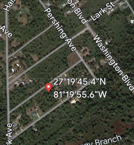 1015 DEARING STREET, Lake Placid, FL 33852