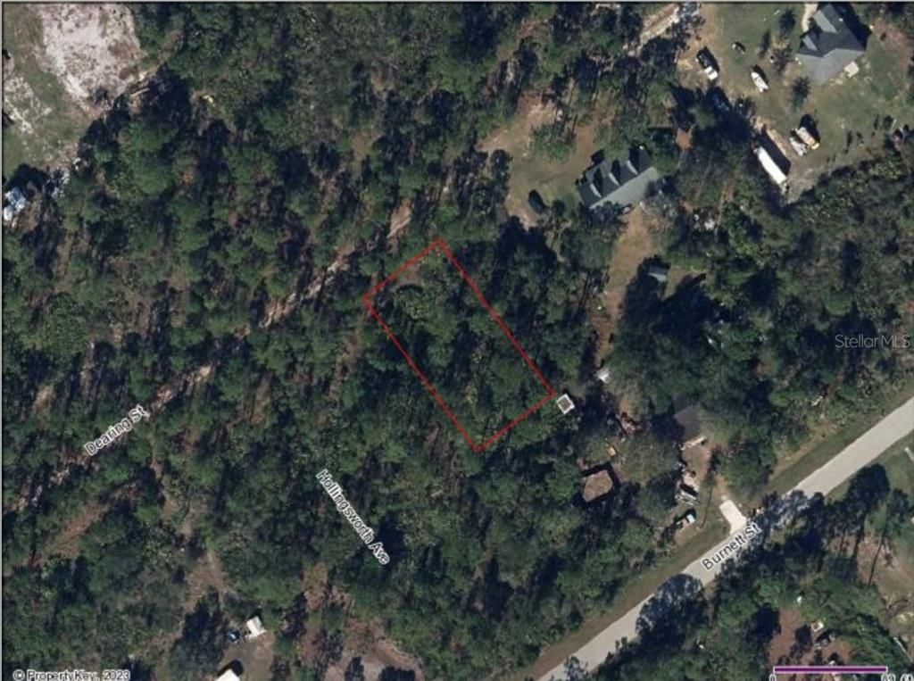 1015 DEARING STREET, Lake Placid, FL 33852