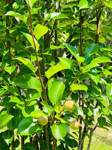 7860 Cliff's Landing Road, Bay Minette, AL 36507