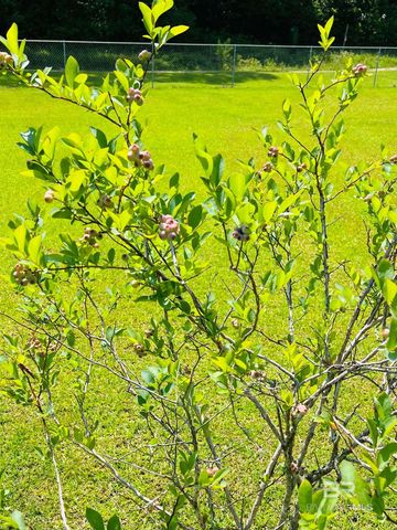 7860 Cliff's Landing Road, Bay Minette, AL 36507