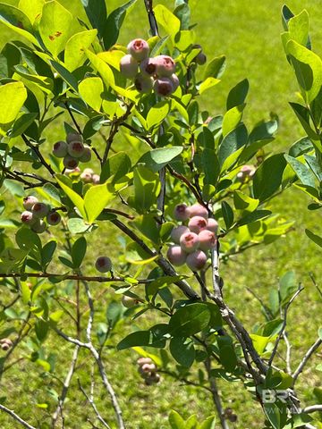 7860 Cliff's Landing Road, Bay Minette, AL 36507