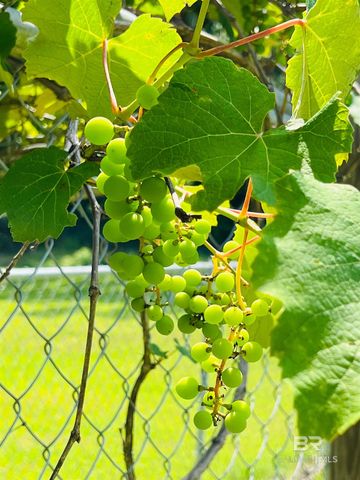 7860 Cliff's Landing Road, Bay Minette, AL 36507