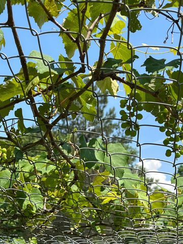 7860 Cliff's Landing Road, Bay Minette, AL 36507