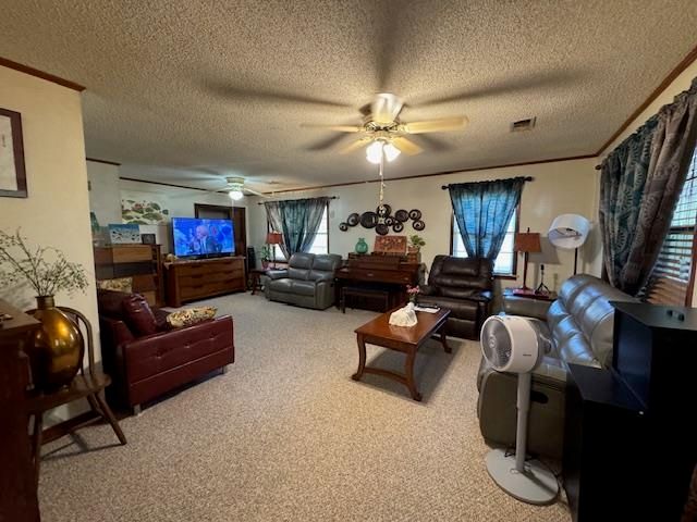 1314 Pavilion Lane, Horseshoe Bend, AR 72512