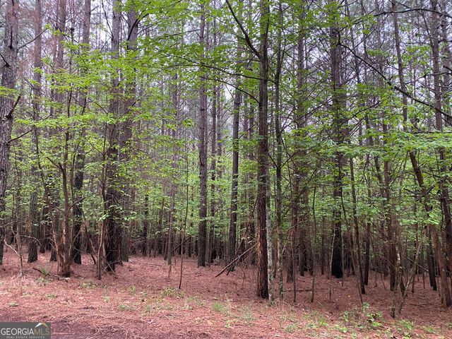 0 Mull Drive, Mineral Bluff, GA 30559