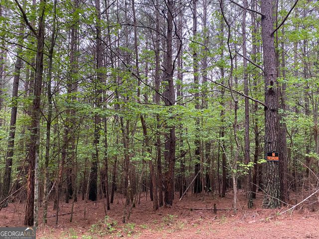 0 Mull Drive, Mineral Bluff, GA 30559