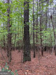 0 Mull Drive, Mineral Bluff, GA 30559