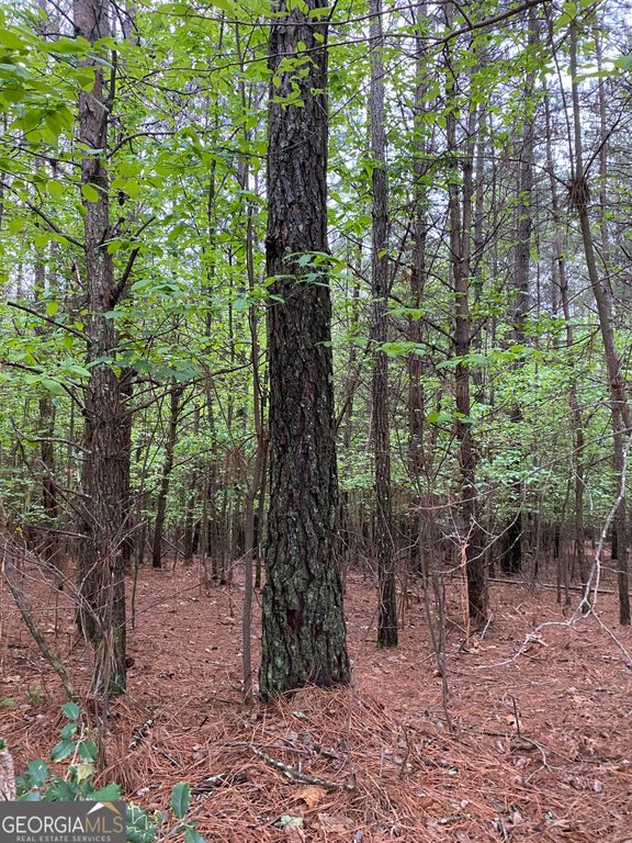 0 Mull Drive, Mineral Bluff, GA 30559